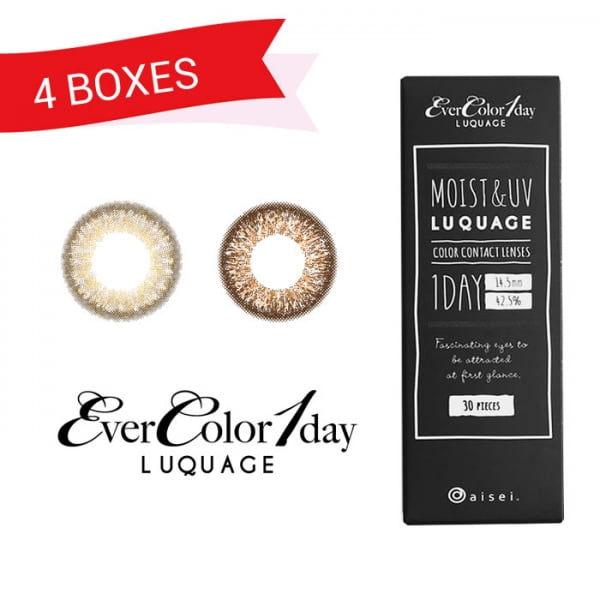 EverColor 1 Day Luquage 30 Pack (4 Boxes)