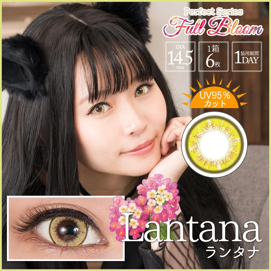 Perfect Series Full Bloom 1 Day - Lantana